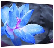 Obraz szczegółu kwiatu (70x50 cm)