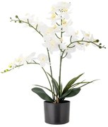 Sztuczny kwiat (wysokość 84 cm) Orchid – Bloomingville