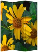 Parawan - Żółte kwiaty (126x170 cm)