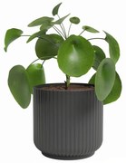 Ceramiczna doniczka ø 15 cm Luna – Artevasi