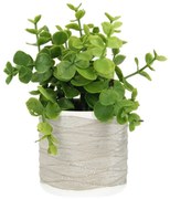 Dekoracja Eukaliptus 16cm