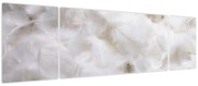 Obraz - Białe pióra (170x50 cm)