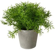 Sztuczna roślina w cementowej doniczce FERN, 17 cm
