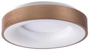 Rabalux 5052 - LED Plafon CARMELA LED/30W/230V