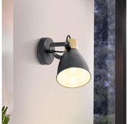 Eglo 901174 - Oprawa punktowa COSWARTH 1xE27/25W/230V