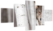 Obraz - Wilk (125x70 cm)