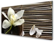 Panel Szklany Kwiat Roślina Natura