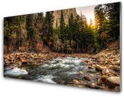 Obraz Akrylowy Las Jezioro Natura Woda