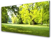 Obraz Akrylowy Trawa Drzewa Park Przyroda