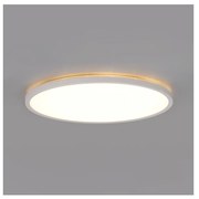 LED sufitowa lampa łazienkowa NIVERA LED/12W/230V IP54 pr. 22,5 cm biała