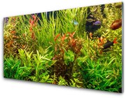 Panel Szklany Akwarium Rybki Rośliny