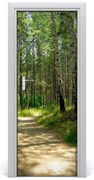 Naklejka fototapeta na drzwi Las brzozowy