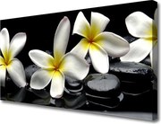 Obraz canvas Egzotyczny Kwiat Plumerii