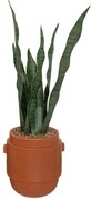Sztuczna roślina w doniczce, wężownica, 70 cm