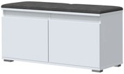 Szafka na buty do przedpokoju biały + szary T1-C56