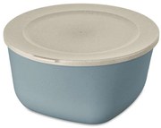 Pojemnik na żywność CONCEPT, hermetyczny, 4 l, KOZIOL