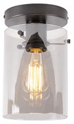 Designerska lampa sufitowa czarna z dymionym szkłem - DomeDesignerski Oswietlenie wewnetrzne