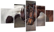 Obraz - Zakochane konie (125x70 cm)