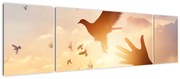 Obraz - Mała gołębico, leć! (170x50 cm)