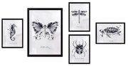 Obrazy zestaw 5 szt. Butterfly – Wallity