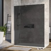 Ścianka prysznicowa Walk-In EX101