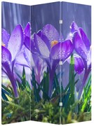 Parawan - Kwiaty w deszczu (126x170 cm)