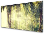 Panel Szklany Las Palmy Drzewa Natura