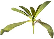 Sztuczny Liść orchidei z korzeniami, 30 cm
