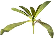 Sztuczny Liść orchidei z korzeniami, 30 cm