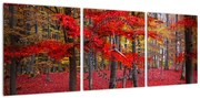 Obraz - Czerwony Las (z zegarem) (90x30 cm)