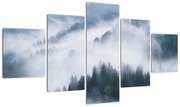 Obraz - Drzewa we mgle (125x70 cm)