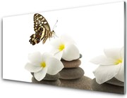 Panel nad blat kuchenny Motyl na Kamiennej Orchidei