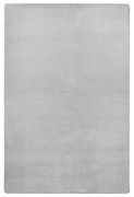 Jasnoszary dywan 200x280 cm Fancy – Hanse Home