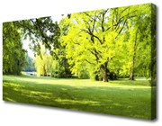 Obraz Canvas Trawa Drzewa Park Przyroda