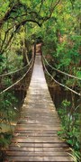 Fototapeta na drzwi JUNGLE BRIDGE 86x200 cm