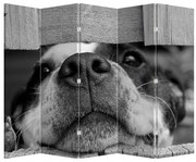 Parawan - Pies (210x170 cm)