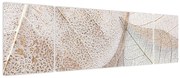 Obraz - Beżowe liście (170x50 cm)