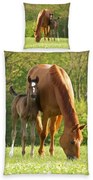 Herding Dziecięca pościel bawełniana Horse, 135 x 200 cm, 80 x 80 cm