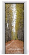 Naklejka na drzwi samoprzylepna Las brzozowy