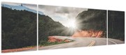 Obraz - Do drogi (170x50 cm)