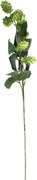 Sztuczna gałązka chmielu, 25 x 66 x 10 cm