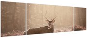 Obraz - Jeleń w lesie (170x50 cm)