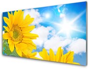 Obraz Akrylowy Kwiaty Roślina Natura