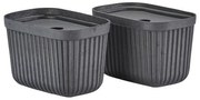 Koszyki zestaw 2 szt. 23x16x20.5 cm Pulp – Zone