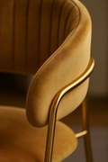 Krzeso Moniel Golden Velvet