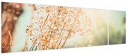 Obraz - Rośliny łąkowe (170x50 cm)