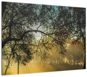 Obraz wschodu słońca (70x50 cm)