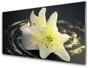 Obraz Akrylowy Kwiat Roślina Natura