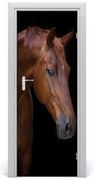 Naklejka samoprzylepna na drzwi Portret konia