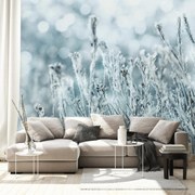 Fototapeta - Zamarznięta łąka (196x136 cm)